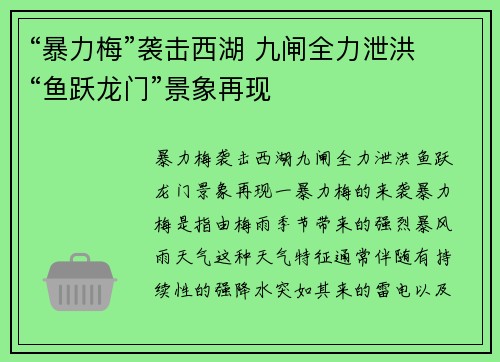“暴力梅”袭击西湖 九闸全力泄洪 “鱼跃龙门”景象再现