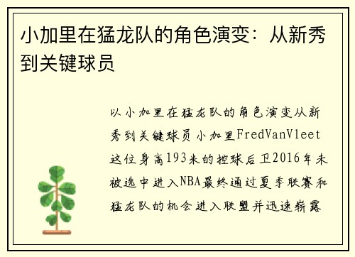 小加里在猛龙队的角色演变：从新秀到关键球员