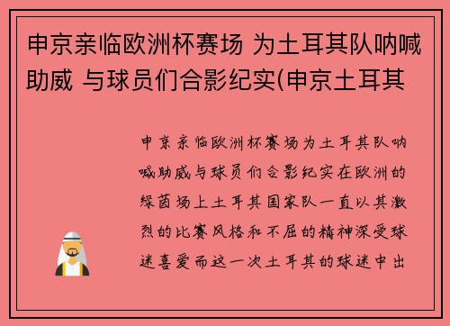 申京亲临欧洲杯赛场 为土耳其队呐喊助威 与球员们合影纪实(申京土耳其联赛数据)