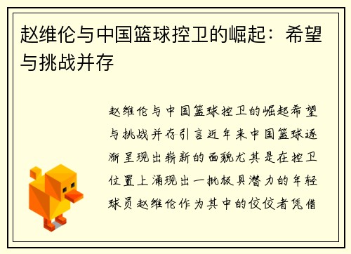 赵维伦与中国篮球控卫的崛起：希望与挑战并存